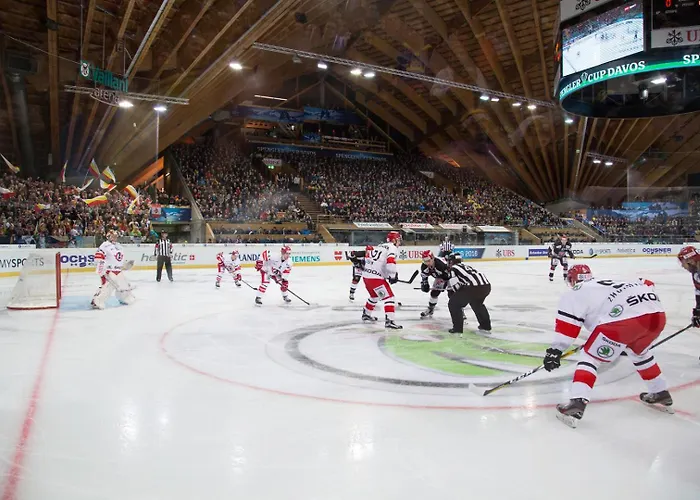 فندق Ameron Swiss Mountain 4*