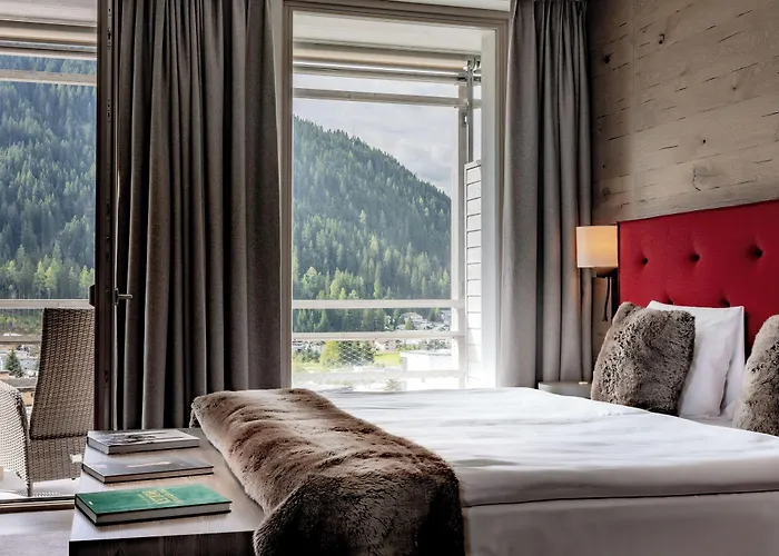 Ameron Swiss Mountain