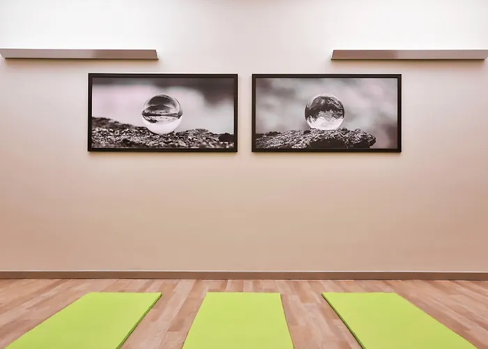 Hotel Ameron Swiss Mountain 4*